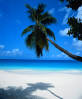 Fraser Island, AnestaWeb