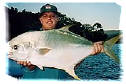 Australian Dart Fish